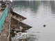 Nhiều hồ ở Hà Nội nhiễm vi sinh vật vượt quá giới hạn cho phép